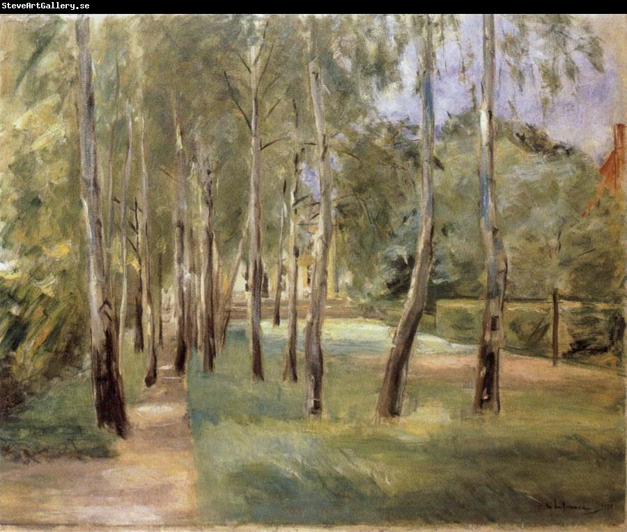 Max Liebermann The Birch-Lined Avenue in the Wannsee Garden Facing West